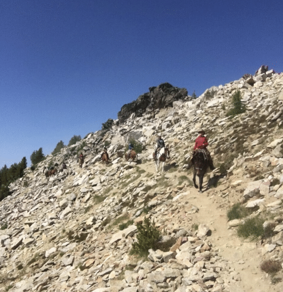 Darwood Outfitting: Windy Peak in pasayten wilderness